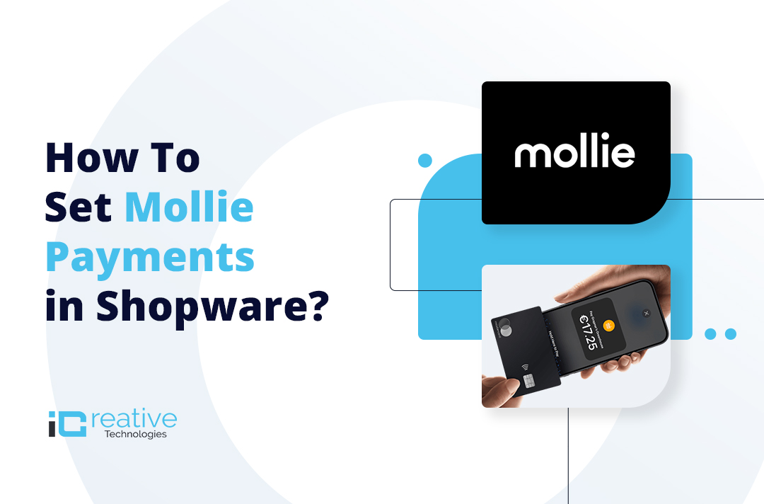 How to Set Mollie Payments in Shopware